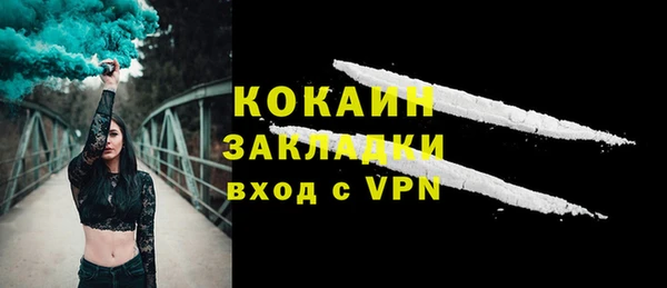 прущие грибы Горнозаводск