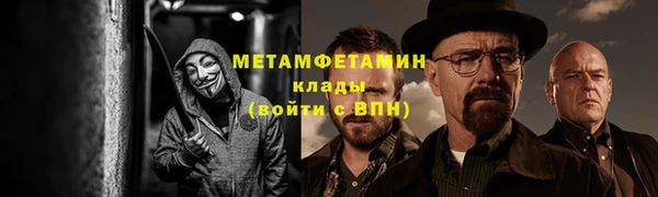 прущие грибы Горнозаводск