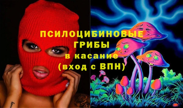 бошки Гусиноозёрск