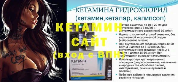 прущие грибы Горнозаводск
