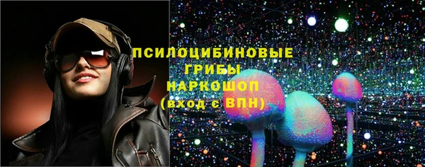 метадон Гусев