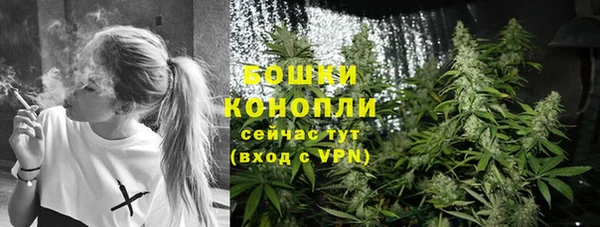 бошки Гусиноозёрск