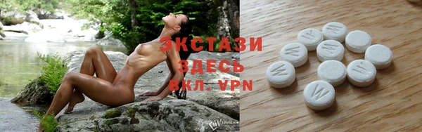 гидра Гусь-Хрустальный