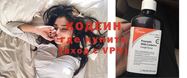 метадон Гусев