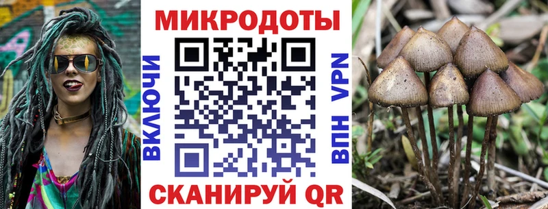 сколько стоит  площадка какой сайт  Галлюциногенные грибы Cubensis  Семёнов 