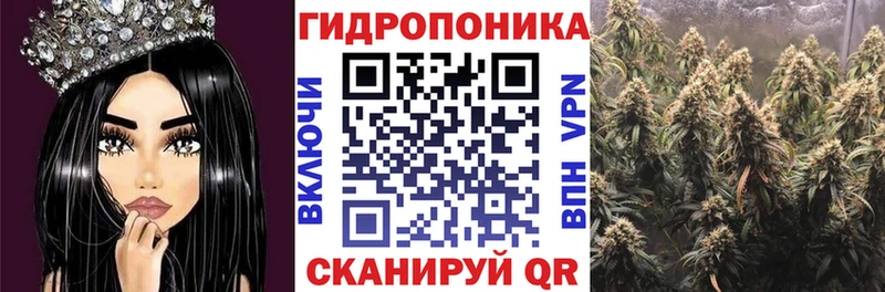 Бошки марихуана Amnesia Семёнов